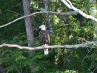 img_5068.jpg
